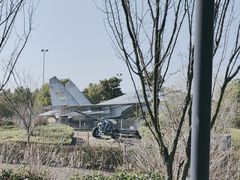 -菊园百果园