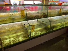水产区-胜记大排档·台山本地海鲜·台山黄鳝饭