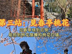 -北海公园