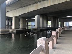 -京杭上院·河景花园餐厅·杭帮菜名店