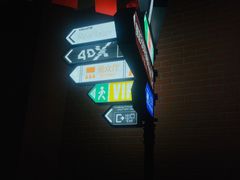 -上海金逸影城(静安大悦城店（原新恒星影城）)