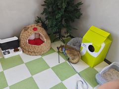 -上海浦东smart汽车全功能店(金桥店)