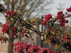 -北京明城墙遗址公园