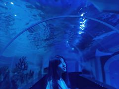 -成都浩海立方海洋公园