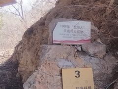 -北京周口店北京人遗址博物馆