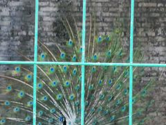 -八景休閒山莊  廣東十大名山莊