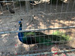 -宁波野生动物园