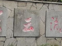 -重庆彩云湖湿地公园