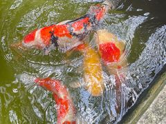 -澳门城市大学(氹仔校区)