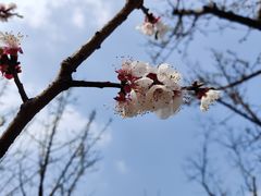 -桂溪生态公园