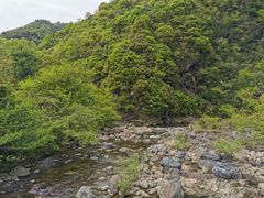 -石台牯牛降景区