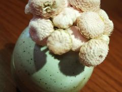 -鹿萤季·营地小馆(皇后公园店)