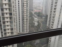 -新湖明珠城