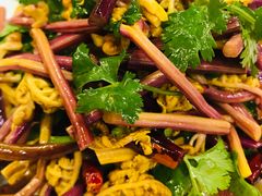 香麻野蕨菜-九十九顶毡房(阜石路店)