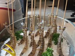 活虾-皇城老妈·大连海鲜火锅(港湾店)