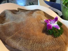 -锅说大脸毛肚重庆老火锅(佐阾店)