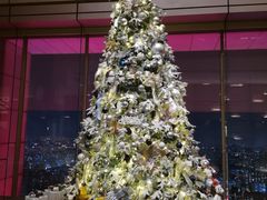 -北京柏悦酒店·锦庭餐厅Dining Room