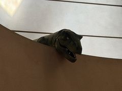 -诸城市恐龙博物馆