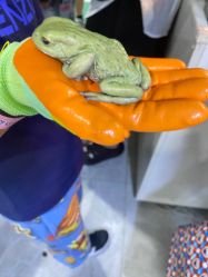 -神奇动物撸宠馆·羊驼·小浣熊·异宠(豫园店)