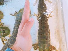 -拉威海鲜市场