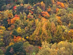 -硗碛藏寨·神木垒景区