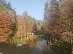 -云溪植物园