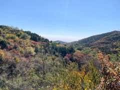 -北京西山国家森林公园