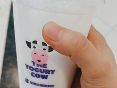 -一只酸奶牛(百联南岸上海城店)