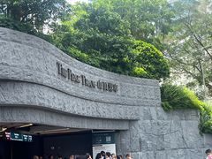 -山顶缆车