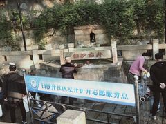 -白沙古井