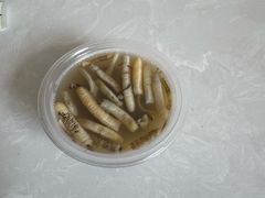 -安海长火土笋冻