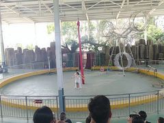 -泉州海丝野生动物世界