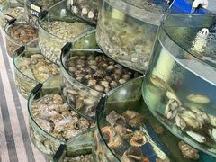 -京秀缘蒸汽海鲜农家菜大馅蒸饺