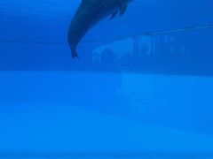 -横琴湾水世界