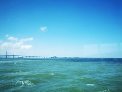 -澳门环岛游湾仔码头