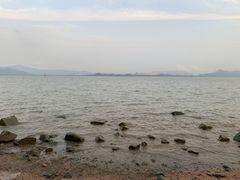 -深圳湾公园(南山区)