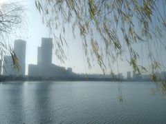 -天鹅湖体育公园