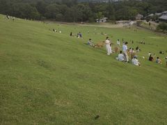 -奈良公园