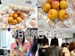 -帝京日语(春熙路旗舰校区)