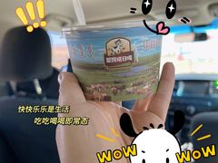 -蒙醇鲜酿酸奶