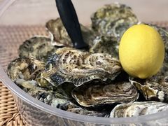 -Oyster Talks 四度蚝法餐厅