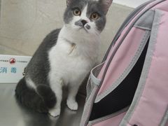 -仁华宠物医院(青羊店)