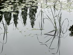 -同济大学本部学苑饮食广场