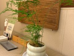 -隐溪茶馆(静安寺店)