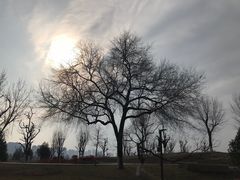 -汉长安城未央宫国家考古遗址公园