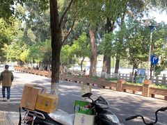 -萨尔瓦多Salvador's