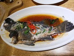 -船歌·鱼水饺青岛菜(闽江二路店)