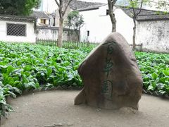 -绍兴鲁迅故里·沈园景区