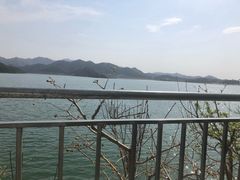 -望湖烤鱼