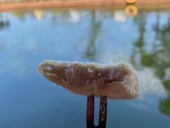 -侯臣咖啡文化村